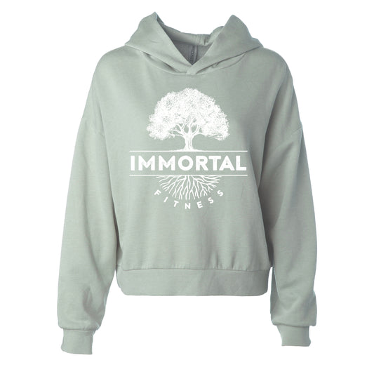 Classsic Logo Cropped Hoodie