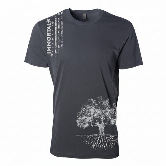 Heritage Distressed Stars T-shirt