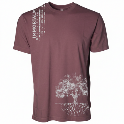 Heritage Distressed Stars T-shirt